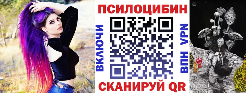 цены   Козьмодемьянск  Галлюциногенные грибы Psilocybe 